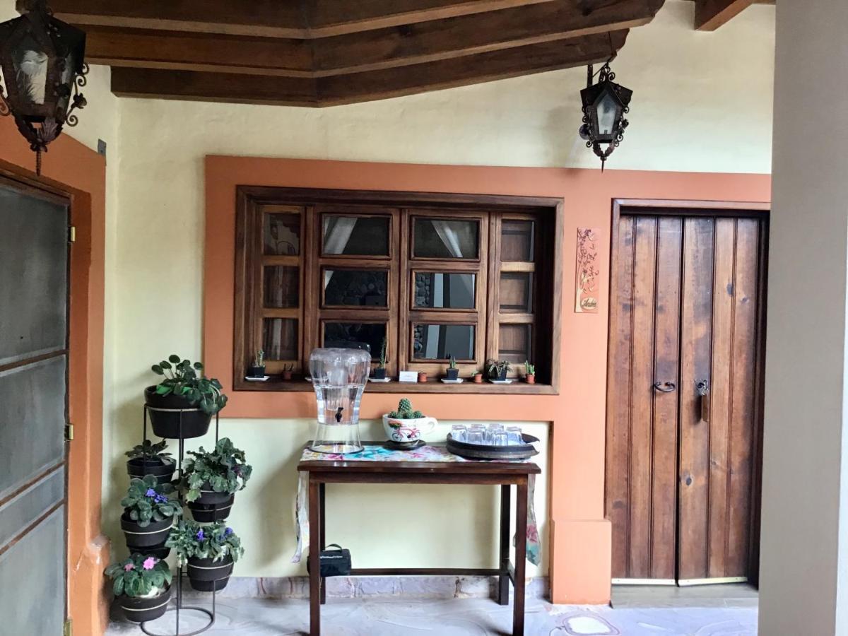 Casa Tia Anita, Hotel Boutique Mascota Bagian luar foto